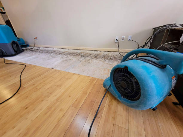 Professional Sewage Cleanup technician working in Annapolis, MD
